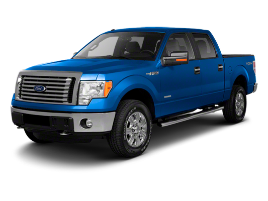 2010 Ford F-150 Base in Flushing, MI - Randy Wise Auto Depot