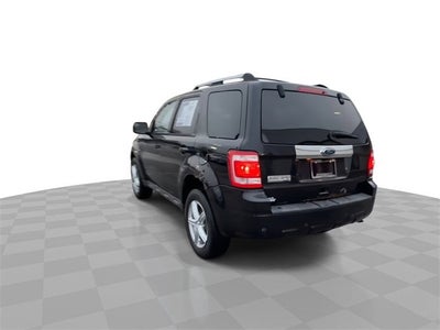 2010 Ford Escape Limited