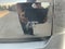 2024 Chevrolet Traverse Limited LT Cloth